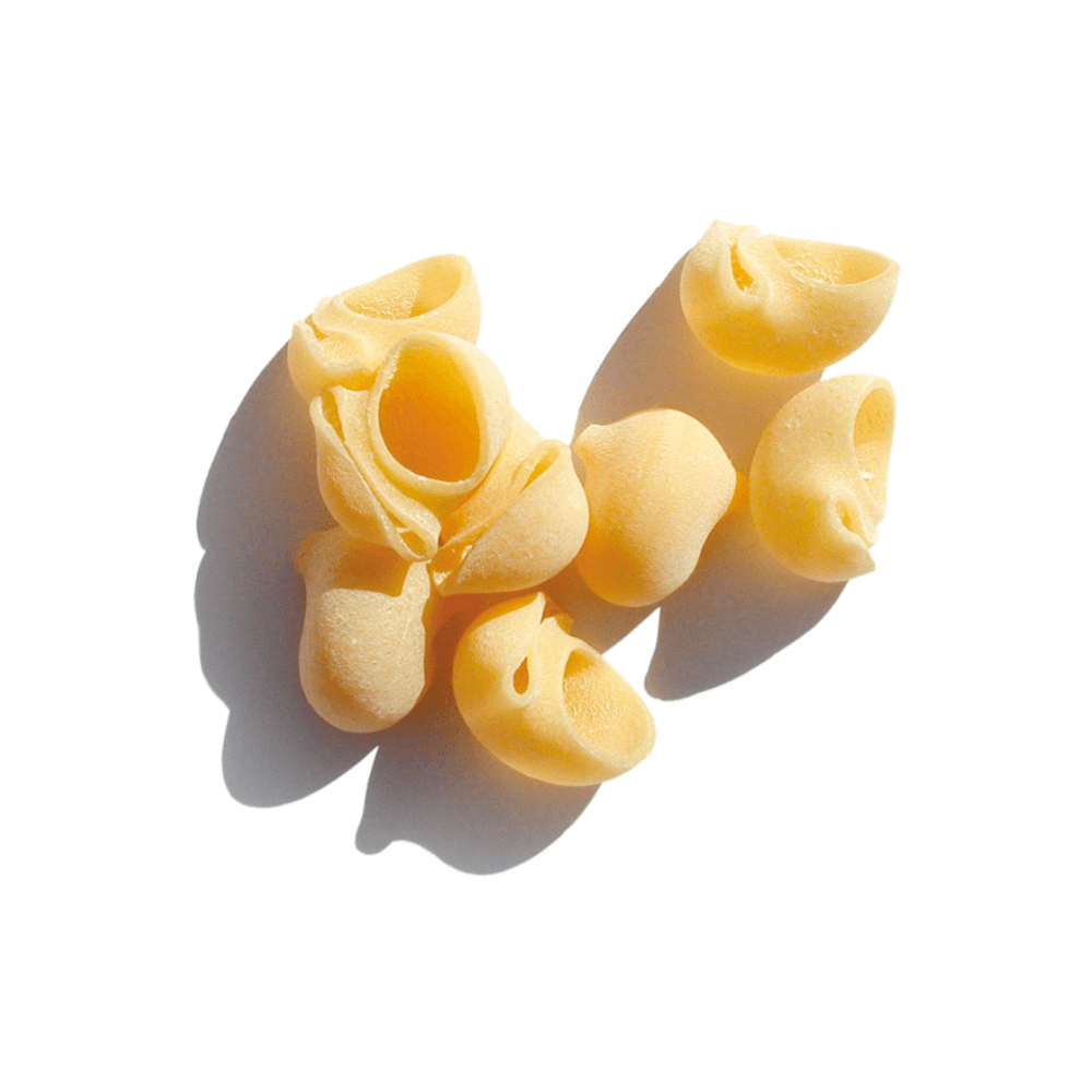 Pasta Lumache Cavalieri 500g