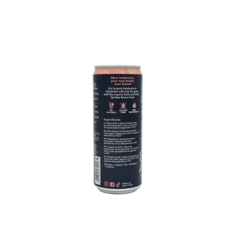 Kombucha Uva e Bergamotto Rosé IntroFoods 33ml retro