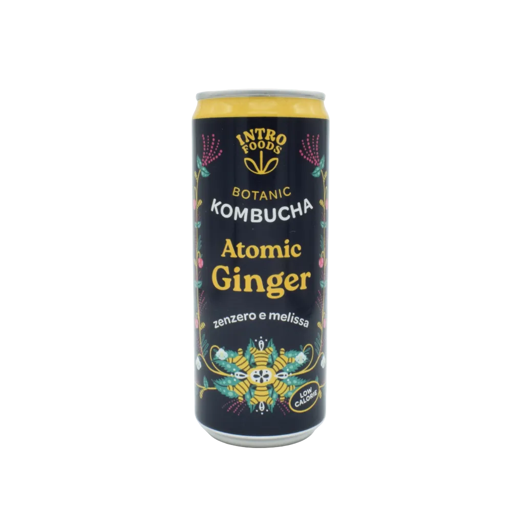 Kombucha Zenzero e Melissa Atomic Ginger IntroFoods 33ml