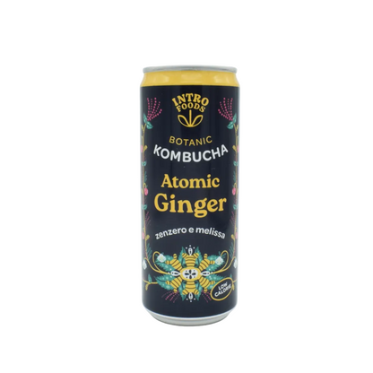 Kombucha Zenzero e Melissa Atomic Ginger IntroFoods 33ml