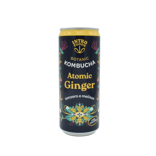 Kombucha Zenzero e Melissa Atomic Ginger IntroFoods 33ml