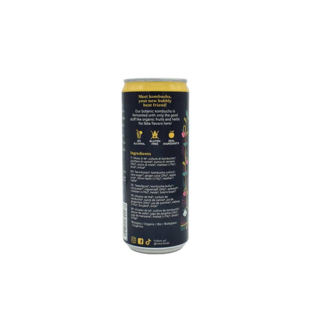 Kombucha Zenzero e Melissa Atomic Ginger IntroFoods 33ml retro