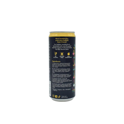 Kombucha Zenzero e Melissa Atomic Ginger IntroFoods 33ml retro